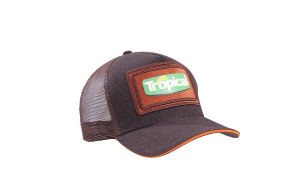 BONÉ TRUCKER 26
